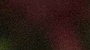 El controvertido exalcalde Ford, cuya carrera estuvo plagada de escándalos por su abuso del alcohol y las drogas, falleció hoy, a los 46 años debido a un cáncer.