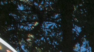 ACTIVISTAS PROTESTAN EN ARIZONA CONTRA CINCO PROPUESTAS DE LEY ANTIINMIGRANTE