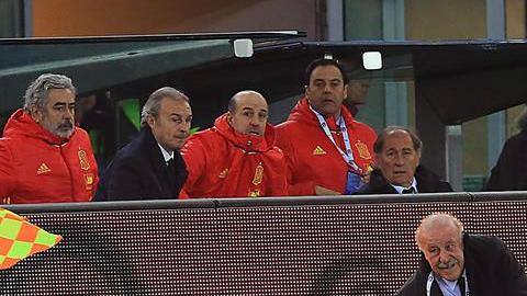 Vicente del Bosque es derribado