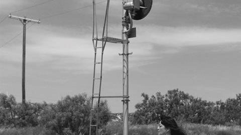 La hispana se ha tomado más de 90 fotos en blanco y negro.