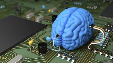 cerebro computadora
