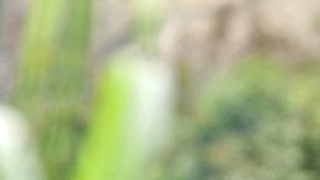 Berta Cáceres recibió el premio Goldman, uno de los más prestigiosos del mundo para ambientalistas. Su campaña logró que el gigante chino Sinohydro y el Banco Mundial abandonaran su respaldo a un polémico proyecto hidroeléctrico.