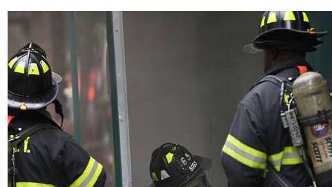 El FDNY y NYPD rescataron a los dos animales en hechos separados. En la foto, el dragón de Komodo.