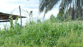 Tan solo el año pasado, la ONU recibió 99 denuncias contra su personal por abusos sexuales.