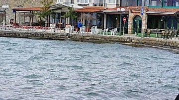 La mujer entró al agua para "cazar" al cisne y conseguir su foto.