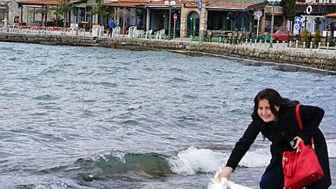 La mujer entró al agua para "cazar" al cisne y conseguir su foto.