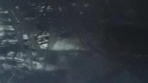 Una familia de latinos fue víctima de crímenes de odio.