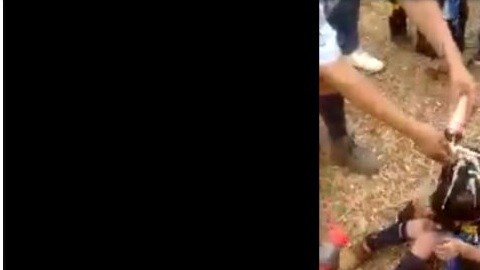 La pequeña llora desconsolada y ningún adulto la defiende.