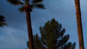 Arizona Holds Presidential Primary