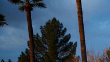 Arizona Holds Presidential Primary