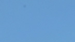 Maestros de Chicago se dirigen a Springfield para presionar por la junta escolar elegida.