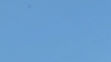 Maestros de Chicago se dirigen a Springfield para presionar por la junta escolar elegida.