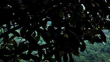 Turistas visita el Parque Nacional del Volcán Poas en Alajuela, Costa Rica.