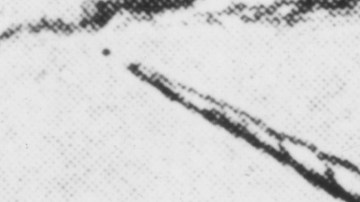 Esta especie se creía extinta desde hace 350,000 años, sin embargo, el descubrimiento de los nuevos fósiles sitúan al animal hace sólo 29,000.