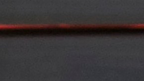 Hilary Swank and boyfriend Ruben Torres