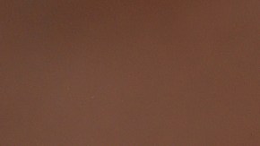 Masahiro Tanaka en acción en Tampa. El pitcher japonés de los Yankees brilla en la pretemporada.