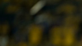 El delantero de Tigres recibió de nueva cuenta la oportunidad de jugar con su selección.