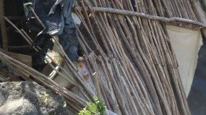 Según la organización, el asesinato de García ocurrió luego de que este ayudara a mover las pertenencias de las familias desalojadas.