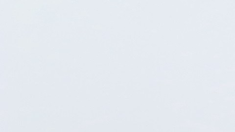 Activistas pro-inmigrantes inician un ayuno nacional para presionar al Tribunal Supremo a que dé luz verde a los alivios migratorios.