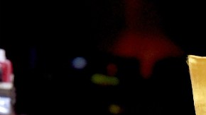 5 cambios de vestuario y tener a sus 6 perros como protagonistas son algunos de los detalles que la cantante quiere tener el día de su matrimonio.