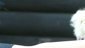 Sus amigas le ayudaron a cubrirse la cara mientras la joven gritaba de rabia frente a los paparazzi.