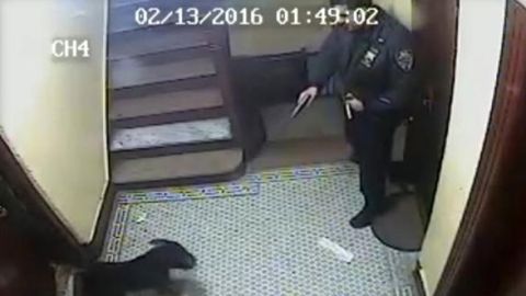 El incidente está siendo investigado por una división del NYPD.
