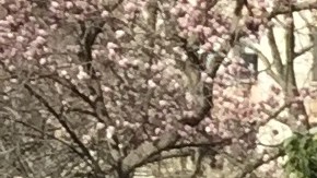 Batman y Spiderman realizaron una demostración en las afueras del Concejo.