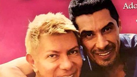 Pink, adopción gay ¿acierto o error?