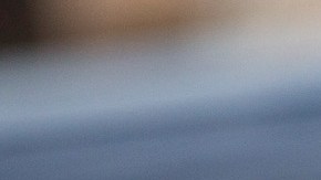 Por la reducción que la Administración Obama quiere hacer al fondo de Seguridad Nacional este pasaría de tener $600 millones a $330 millones en el presupuesto de 2017.