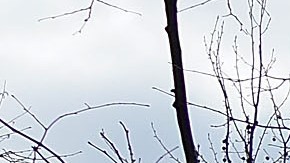 Prospect Park, Brooklyn, NYC/Archivo.