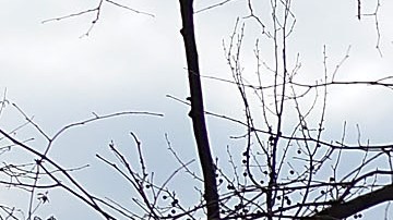 Prospect Park, Brooklyn, NYC/Archivo.