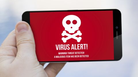 virus celular