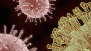 virus shutterstock