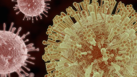 virus shutterstock