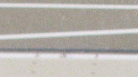 Barrios como el Sur del Bronx son uno de los afectados por el cambio climatico e inundaciones donde viven minorias.
Photo Credito Mariela Lombard/El Diario NY.