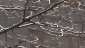 Caravana por la Paz para decirle no a las drogas donde participaron el presidente de Latino Justice Juan Cartagena y Madre Mexicana Maria Herrera que le secuestraron varios de sus hijos en 2010 en la plazoleta Foley Square en Manhattan.
Photo Credito Mariela Lombard/El Diario NY.