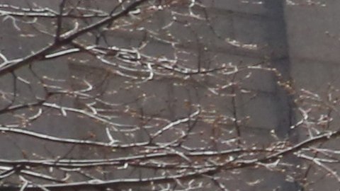 Caravana por la Paz para decirle no a las drogas donde participaron el presidente de Latino Justice Juan Cartagena y Madre Mexicana Maria Herrera que le secuestraron varios de sus hijos en 2010 en la plazoleta Foley Square en Manhattan.
Photo Credito Mariela Lombard/El Diario NY.