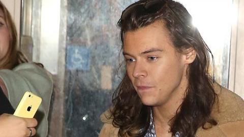 Esta cinta marcará el debut de Harry en el mundo de la actuación.