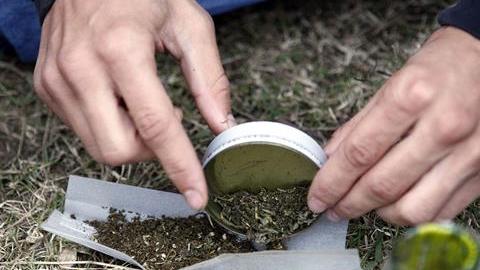 Una comisión del ayuntamiento de Orlando, en el centro de Florida, aprobó una ordenanza que despenaliza la posesión de pequeñas cantidades de marihuana.