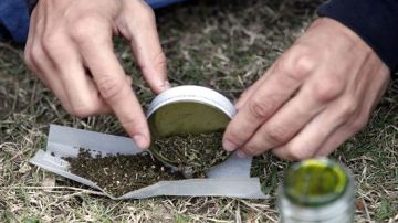 Una comisión del ayuntamiento de Orlando, en el centro de Florida, aprobó una ordenanza que despenaliza la posesión de pequeñas cantidades de marihuana.