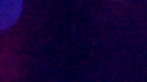 El cantante y músico  Prince.