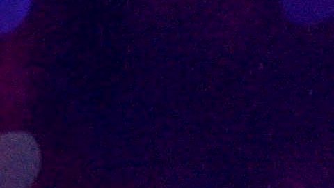 El cantante y músico  Prince.