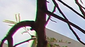 La sede de la  firma de abogados Mossack Fonseca en Ciudad de Panamá.