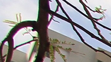 La sede de la  firma de abogados Mossack Fonseca en Ciudad de Panamá.