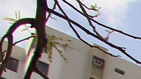 La sede de la  firma de abogados Mossack Fonseca en Ciudad de Panamá.
