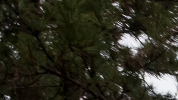 Miembro de la Policía Nacional Bolivariana custodian la entrada de la Nunciatura Apostólica hoy, martes 5 de abril de 2016, en la ciudad de Caracas (Venezuela).