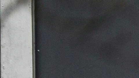Los cuatro detenidos serán puestos mañana a disposición judicial acusados de un presunto delito de terrorismo al integrarse en un grupo terrorista en el extranjero, penado con hasta seis años de cárcel en la legislación danesa.