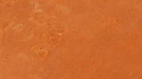 Novak Djokovic, Masters 1000 de Montecarlo