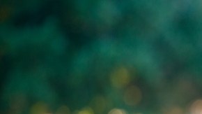 Las parejas que en realidad son medias naranjas o almas gemelas tienen entre ellas más similitudes que diferencias.