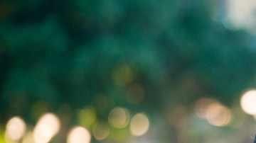 Las parejas que en realidad son medias naranjas o almas gemelas tienen entre ellas más similitudes que diferencias.